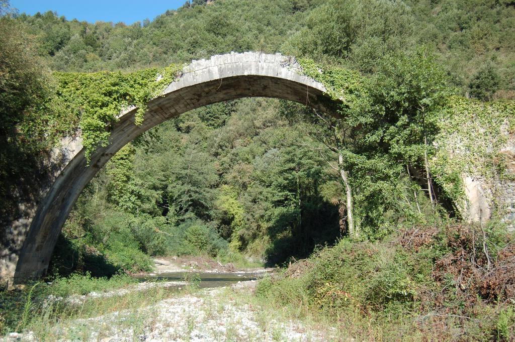B&B Calabria Scigliano Eksteriør billede