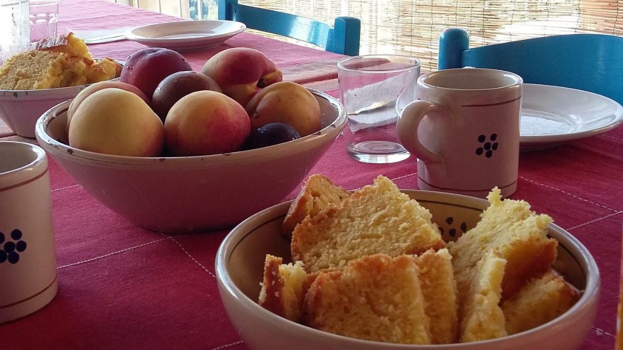 B&B Calabria Scigliano Eksteriør billede