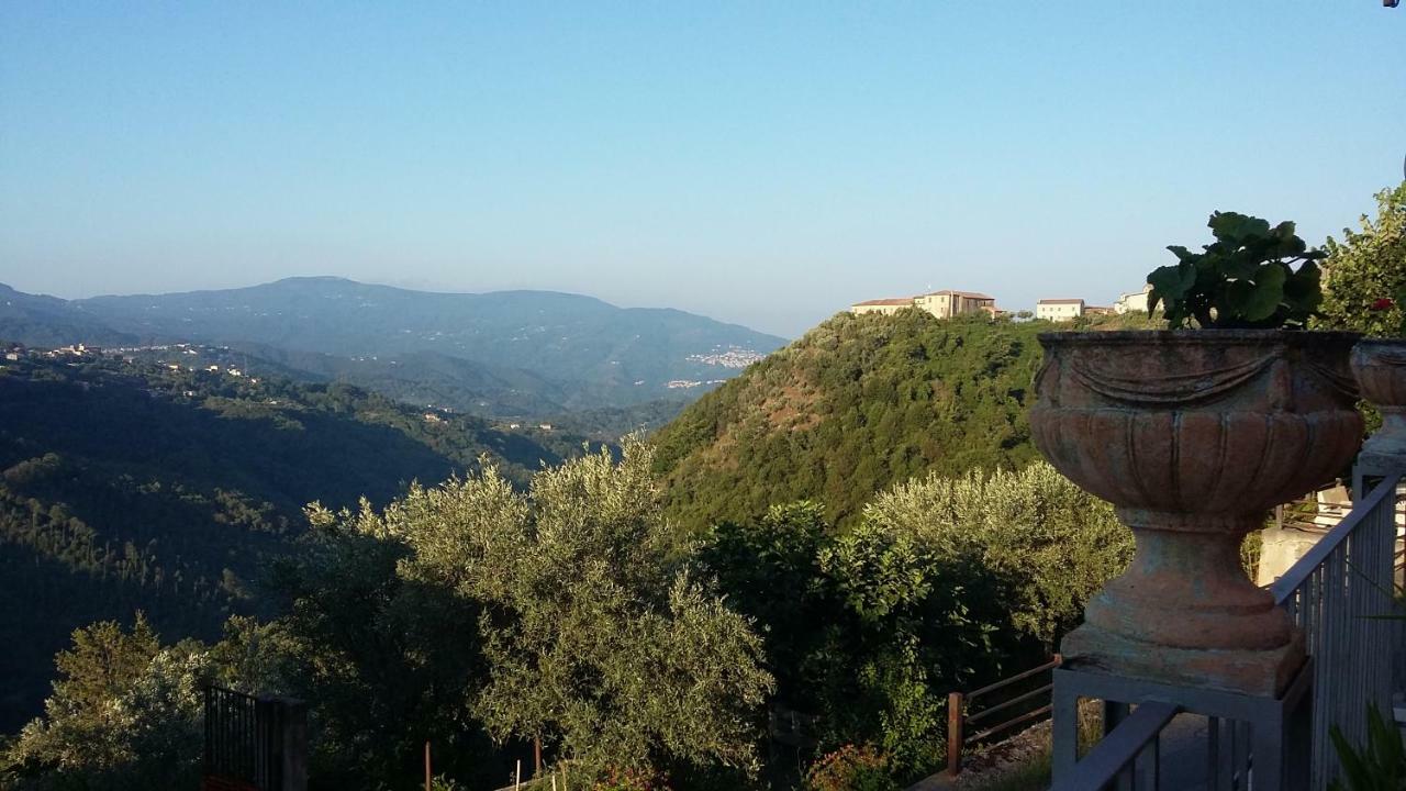 B&B Calabria Scigliano Eksteriør billede